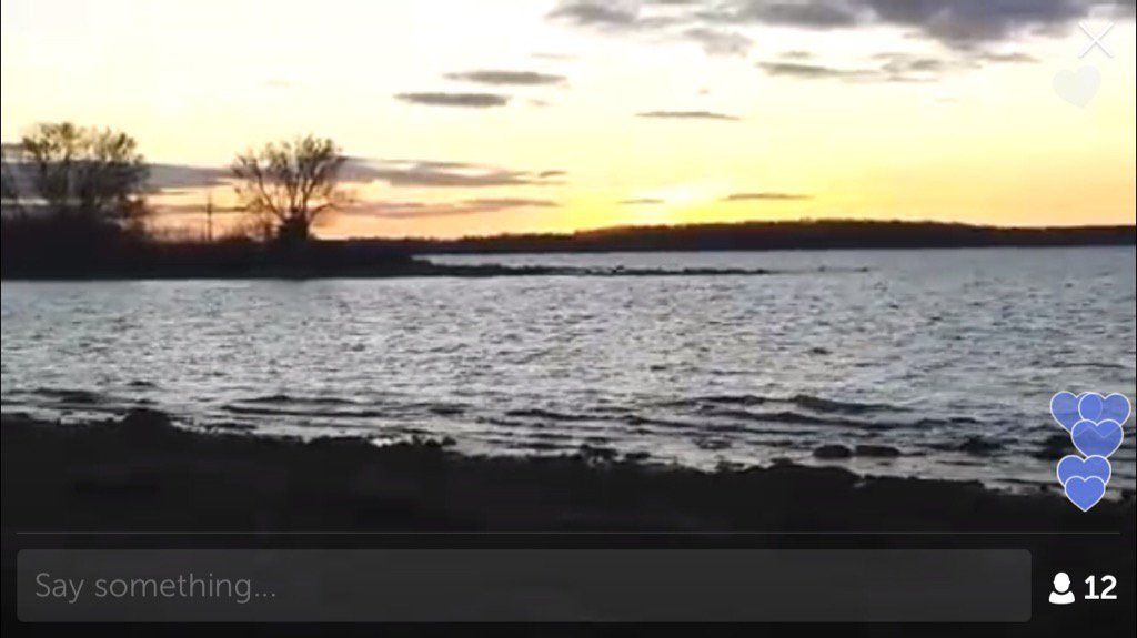 CarolineDianne_'s tweet photo. .@CynleeF on #Periscope: Apology scope #pericrash #sunset https://t.co/TGb4RFP8sF https://t.co/qYh0CIlMaK