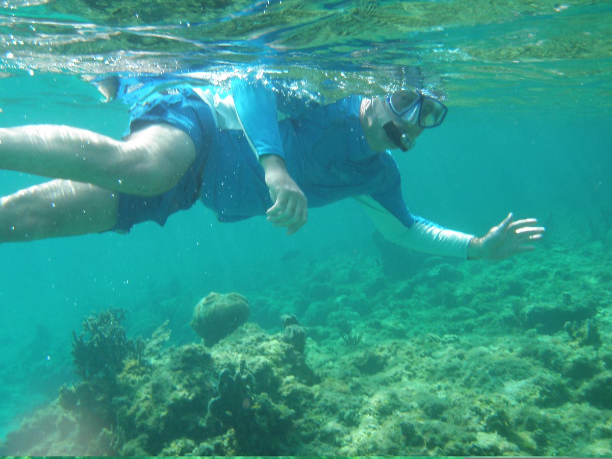 Snorkeling at Bight Reef - The clearly marked trail is perfect for novices or children.