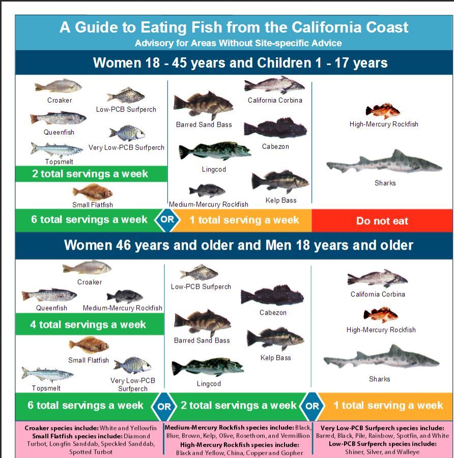 Updated Fish Advisory for San Francisco Bay