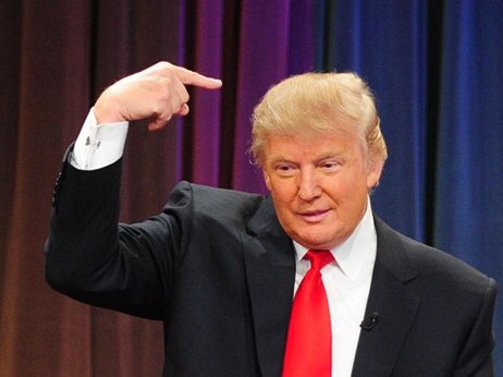 DonaldTrumpFra's tweet image. Qui c'est qui va virer tout les noirs et les mexicains?