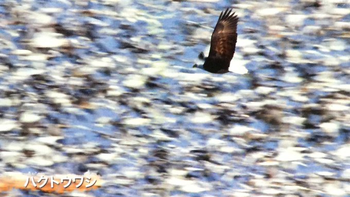 アズライールのtwitterイラスト検索結果 古い順 アズライールのtwitterイラスト検索結果 古い順