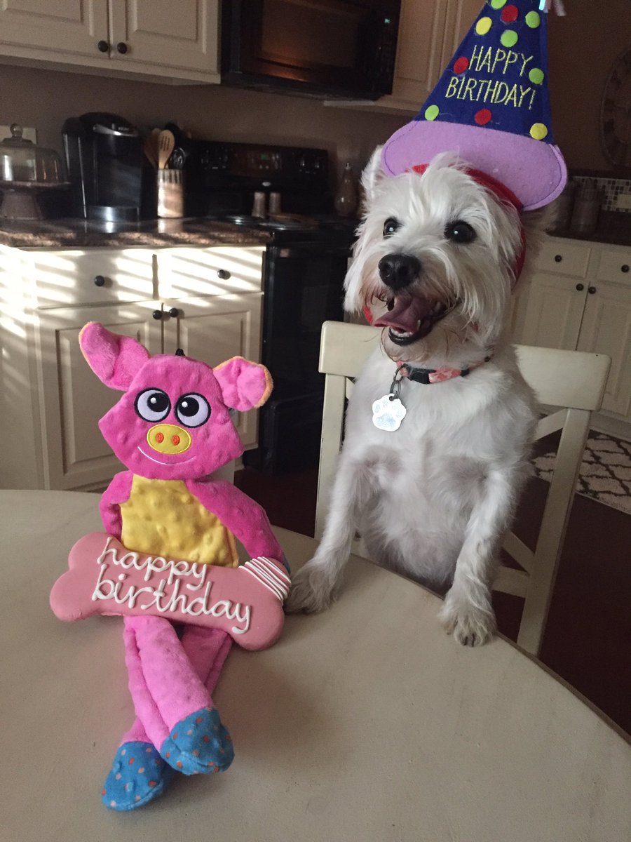 AllieWareJasper's tweet photo. Happy 5th Birthday #dellaware https://t.co/sXDeQXYn9U
