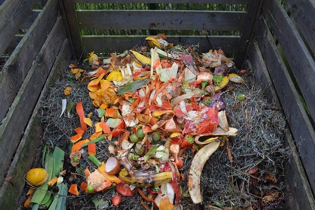 EcoSafeZW's tweet photo. Canada's @nzwcouncil unveiled a NATIONAL FOOD WASTE REDUCTION STRATEGY at #ZWC2016 in Vancouver
https://t.co/EpgKAHnBly https://t.co/7IKjgvtRri