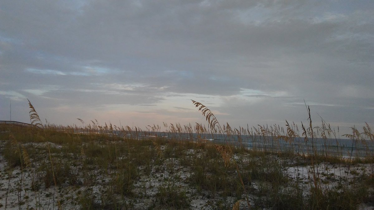 William_Chapel's tweet image. 18 The Lord is nigh unto them that are of a broken heart; and saveth such as be of a contrite spirit. #He'snear