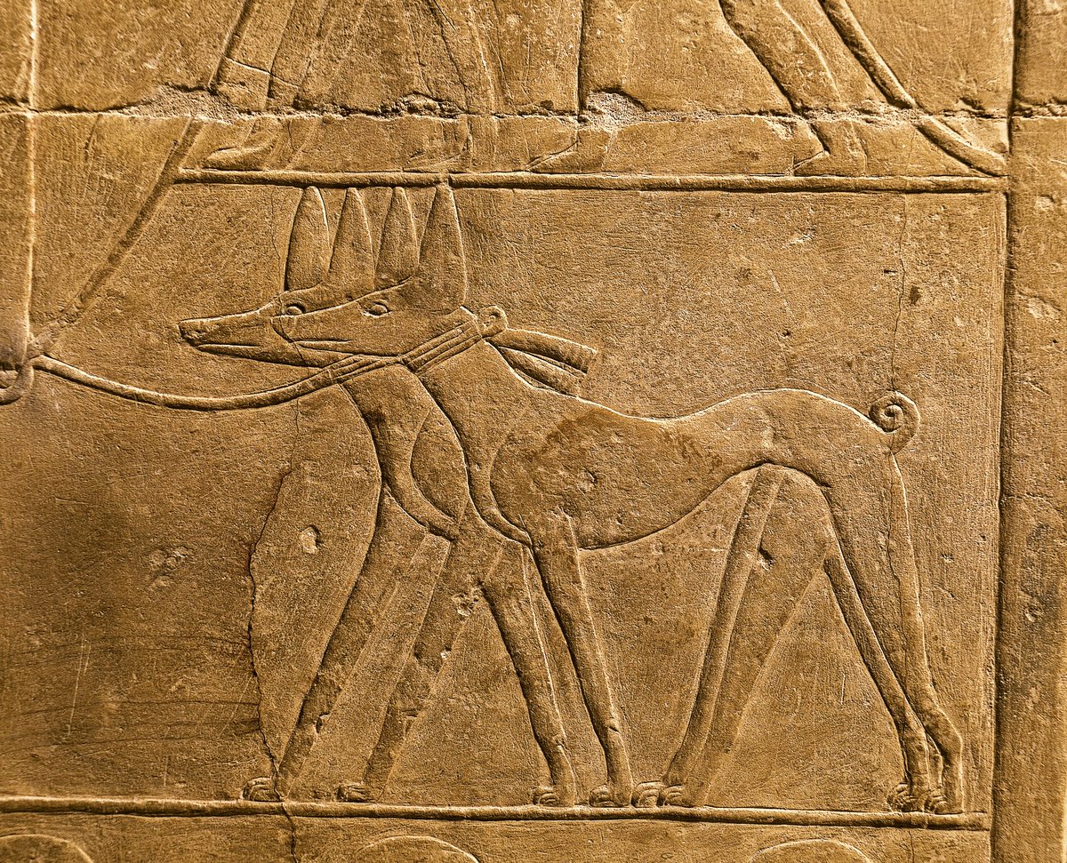 "Who's a good boy?" Mereruka's hunting dogs.