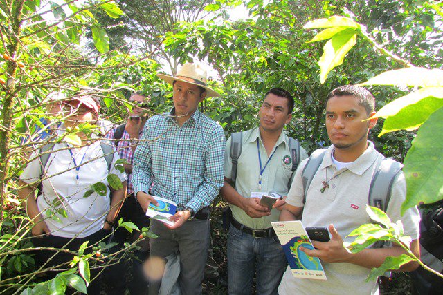 #CostaRica Equipos técnicos de las instituciones del sector café continúan fortaleciendo capacidades. Detalles en goo.gl/w17UvG