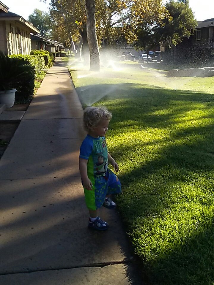 ryrysavino's tweet photo. Got distracted on the way to the pool😄😎 
#HeLovesWater #SDBoy #WeLoveSunshine https://t.co/cmITd44oss