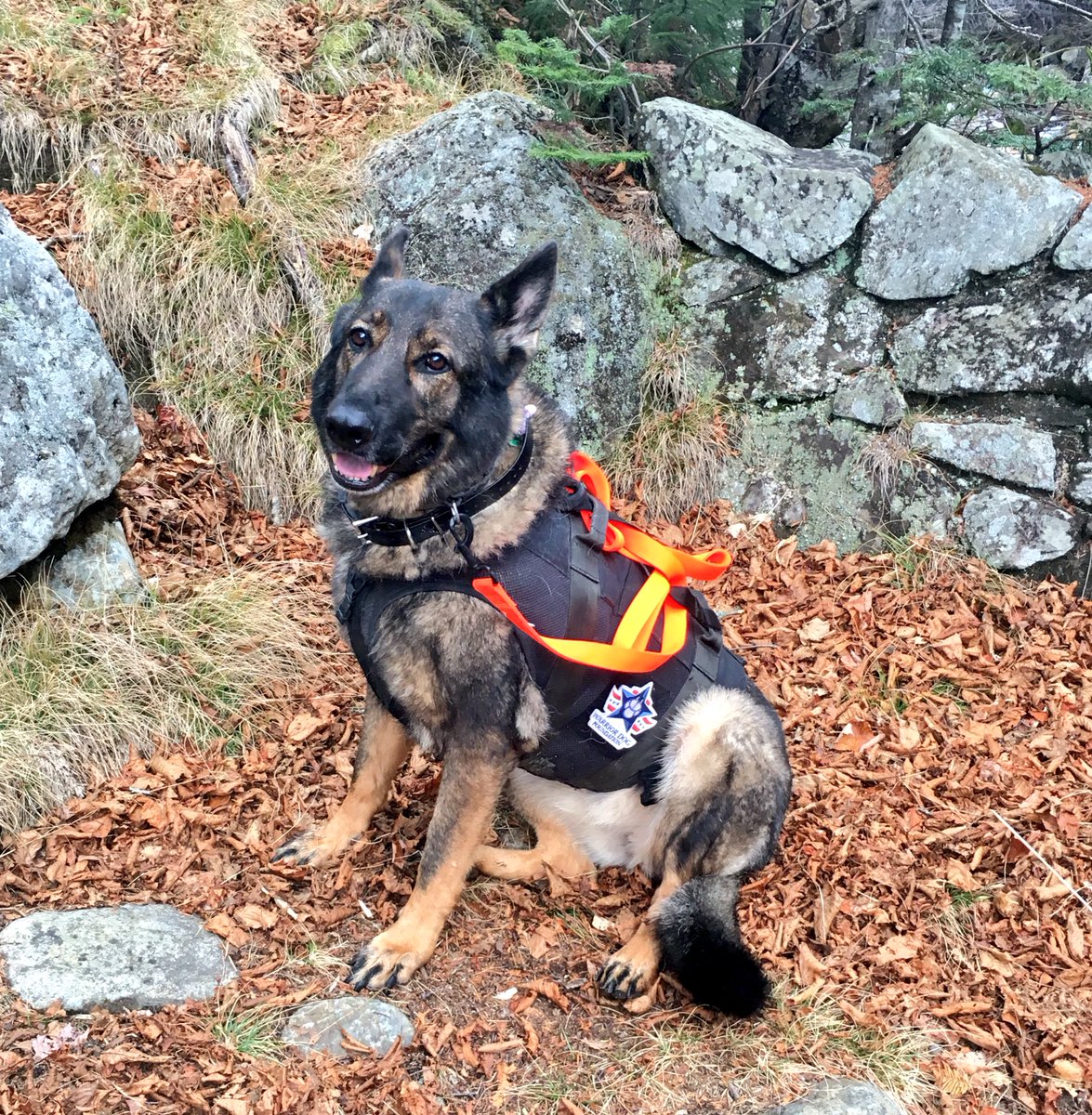Mama_Trek's tweet photo. Being back on the trail &amp; loving it. Rebuilding one step at a time. Patch by @WarriorDogs find it here https://t.co/dz5fIR57h2 https://t.co/rg88YwJLHN
