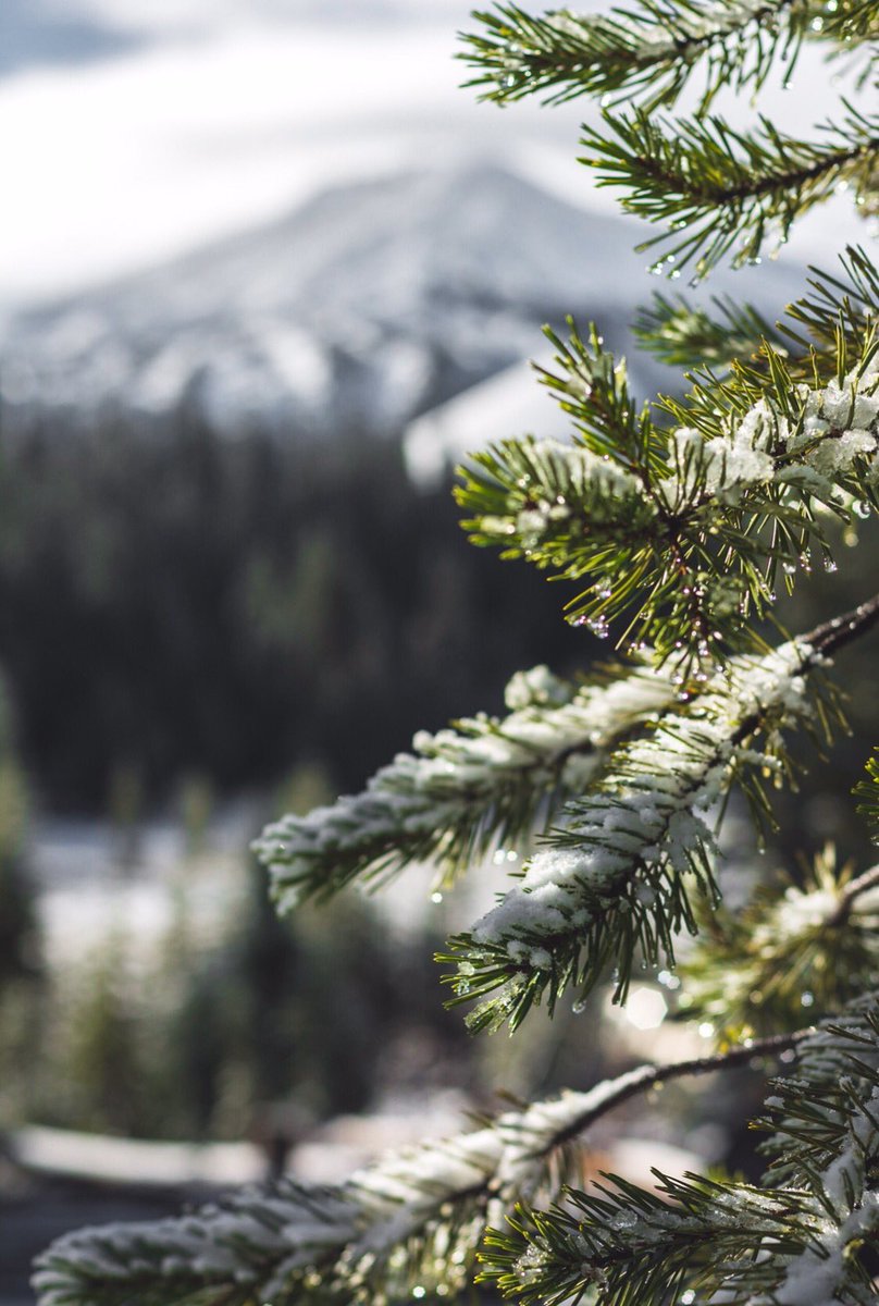 stephoto27's tweet photo. For now, if you look real hard, here's some beauty that this earth has given us. Ready for winter, cold breaths, and snuggles in blankets. https://t.co/8ypCcf65oz