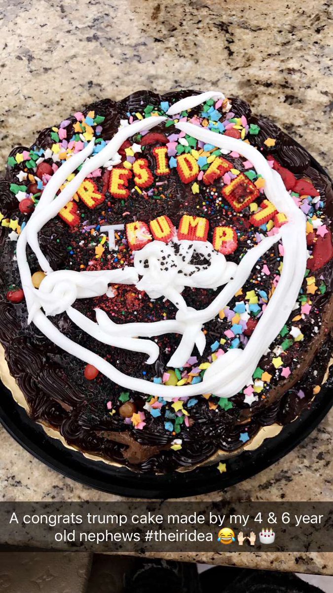 RoseAtSBE's tweet photo. My 4 &amp; 6 year old nephews were adamant about making @realDonaldTrump a congratulations cake lol. They kept up w every min of the election! https://t.co/8nwdj1BetH