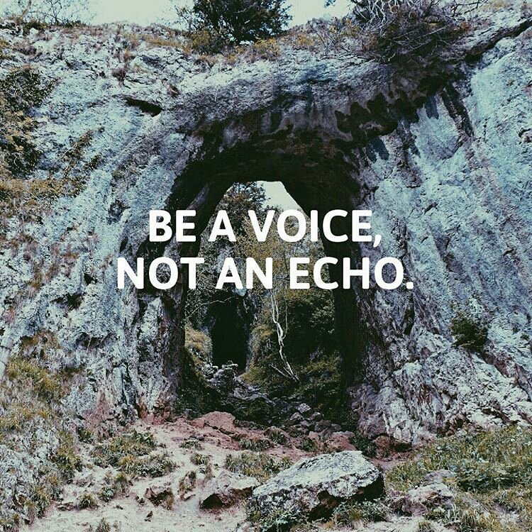 VickieMartinezV's tweet image. #vibesforlife #attitude #believeinyou #selflove #trust #strong #hope #positivetwitter