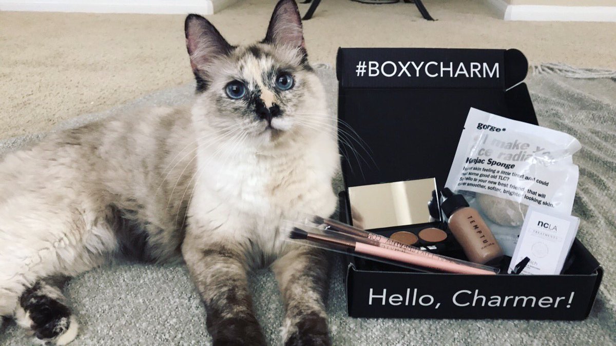 HaliGonsalves's tweet photo. Obsessed with my first boxycharm!! Loved the products and can't wait for November's! #BOXYbazaar #BOXYMail #BOXYCHARM @boxycharm https://t.co/o1o2sIH1uS