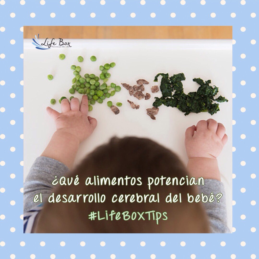 Huevo, espinaca, arándanos y salmón son algunos alimentos que potencian el desarrollo cerebral de tu bebé. lifebox.life