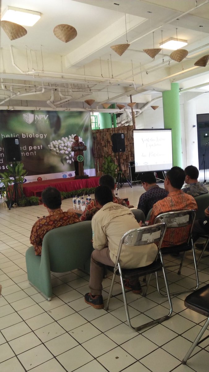 NPV IPB tweet media