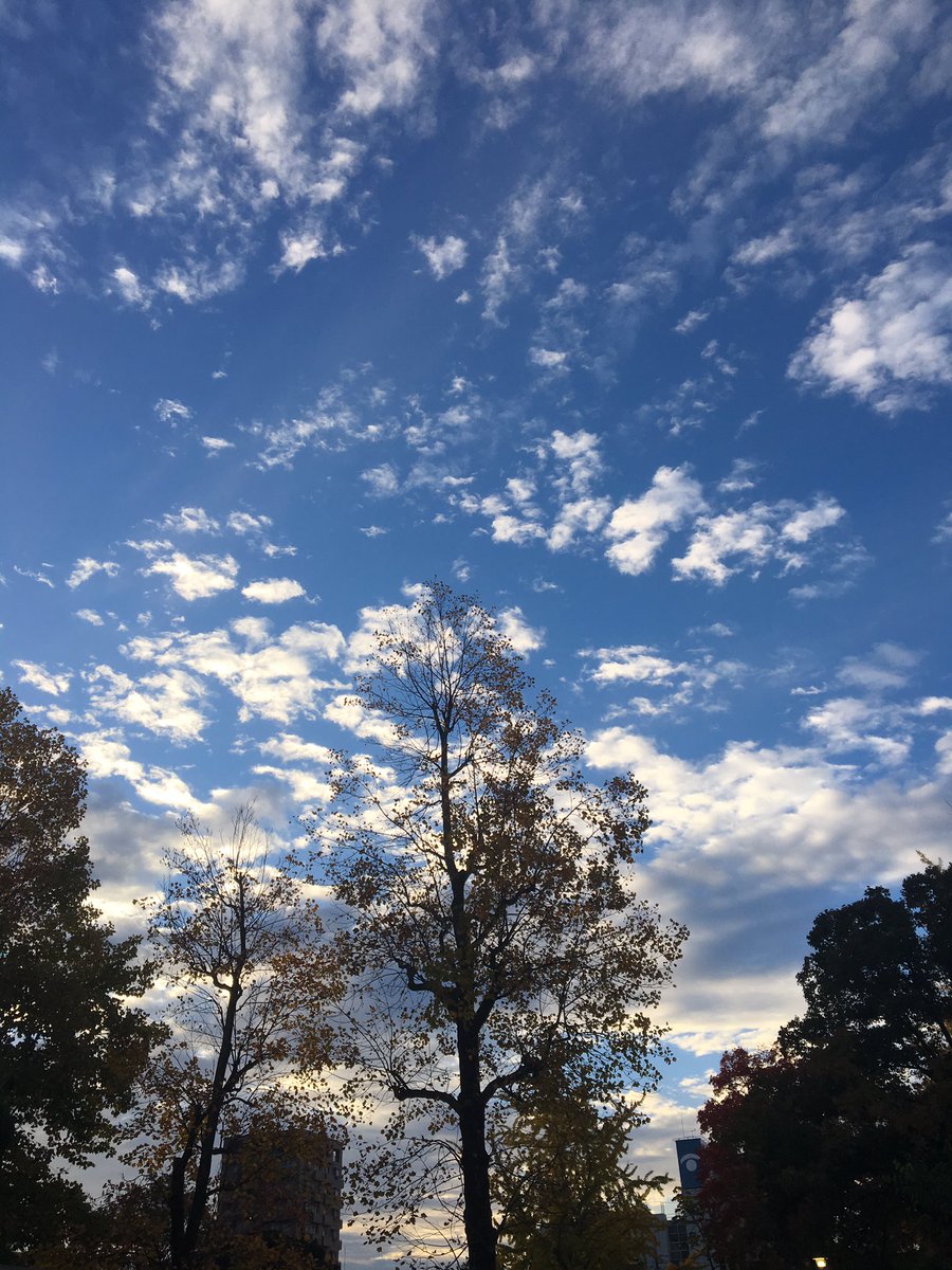 B72438's tweet photo. 今日もいい天気です😁 it's fine!! https://t.co/mqWWiZkPYz