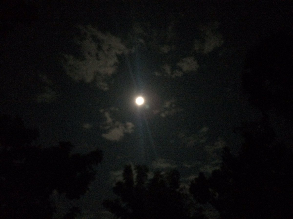 Iqbal Kabir on Twitter: "Moonlight night in my village, Bangladesh… "