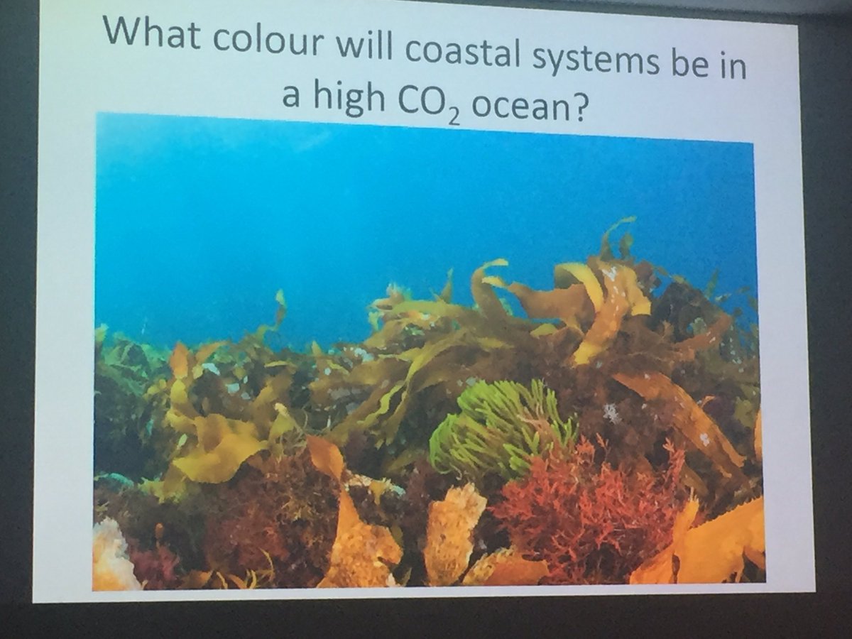 Fascinating talk by <a href="/CatrionaHurd/">Catriona Hurd</a> about how little we know about #seaweed carbon physiology and responses to acidification #aspab2016