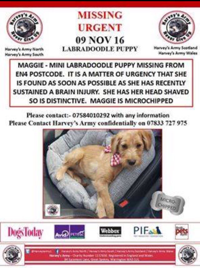 <a href="/HelpFindThem14/">HelpFindThem</a>. URGENT EN4