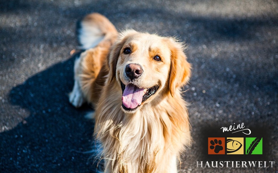 Gesunde, naturnahe #Tiernahrung
 ...ist das, was Tier und Mensch gefällt!
 Auch im #Onlineshop unter meinehaustierwelt24.de erhältlich.