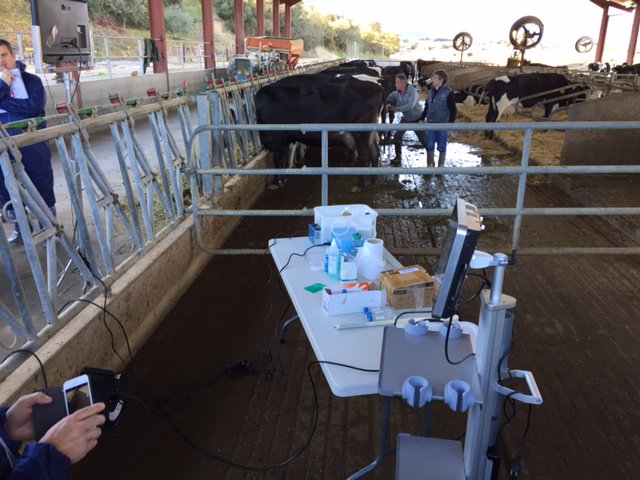 IMV Technologies tweet media