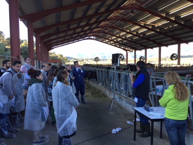 IMV Technologies tweet media