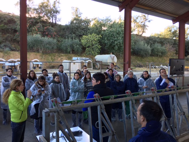 IMV Technologies tweet media