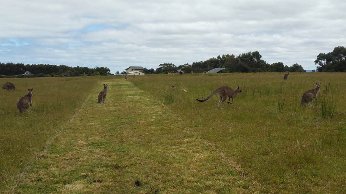 @ConservationEC sure does have beautiful wildlife passing by in this part of the world #TheMorningAfter