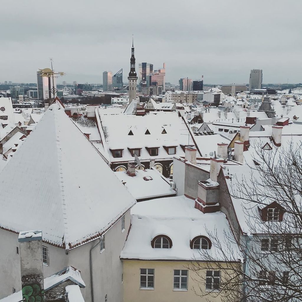 kimmy_nami_'s tweet photo. Такой вот #таллин #tallinn #estonia #exploringtallinn #exploringestonia https://t.co/7XnfL9jLud https://t.co/nFpqaCCI2U