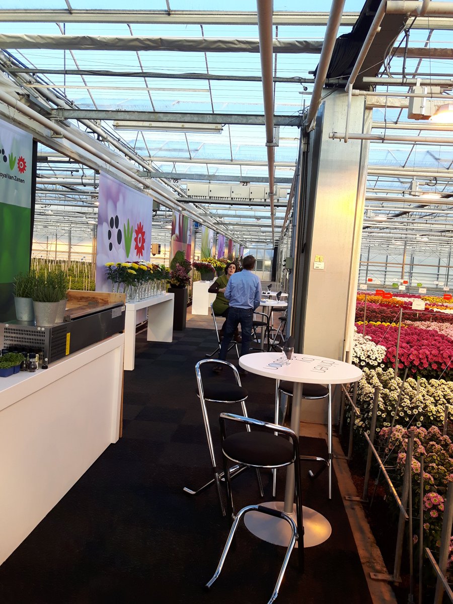 Royal Van Zanten tweet media