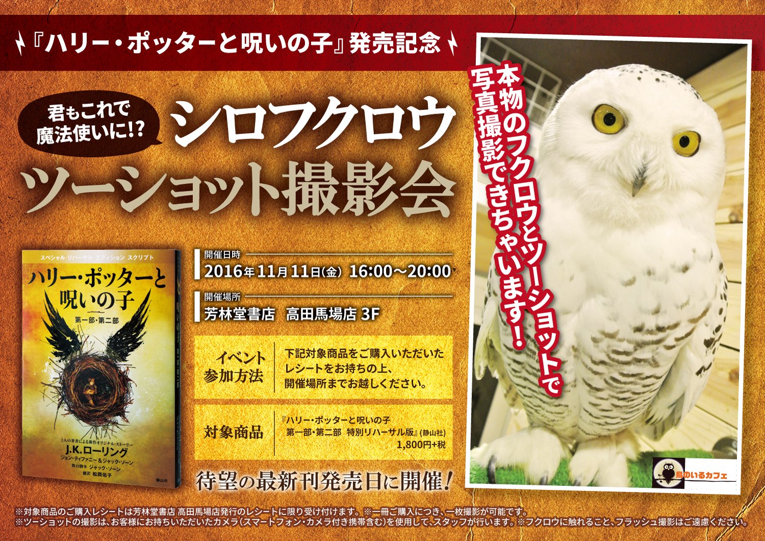 Uzivatel 芳林堂書店高田馬場店 平日10時 21時土日祭日10時 時営業中 Na Twitteru 3f ハリーポッター と呪いの子 発売記念イベント シロフクロウツーショット撮影会開催はいよいよ明日 ハリーポッターと呪いの子 をお買い上げいただいた方が対象になり Uzivatel 芳林堂書店高田馬場店 平日10時 21時土日祭日10時 時営業中 Na Twitteru 3f ハリーポッター と呪いの子 発売記念イベント シロフクロウツーショット撮影会開催はいよいよ明日 ハリーポッターと呪いの子 をお買い上げいただいた方が対象になり