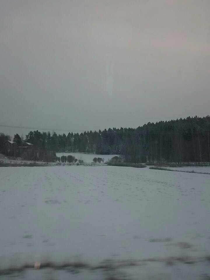 Vint_official's tweet photo. On our way to HKI! Beautiful! #startup https://t.co/wFjPsWpwSD