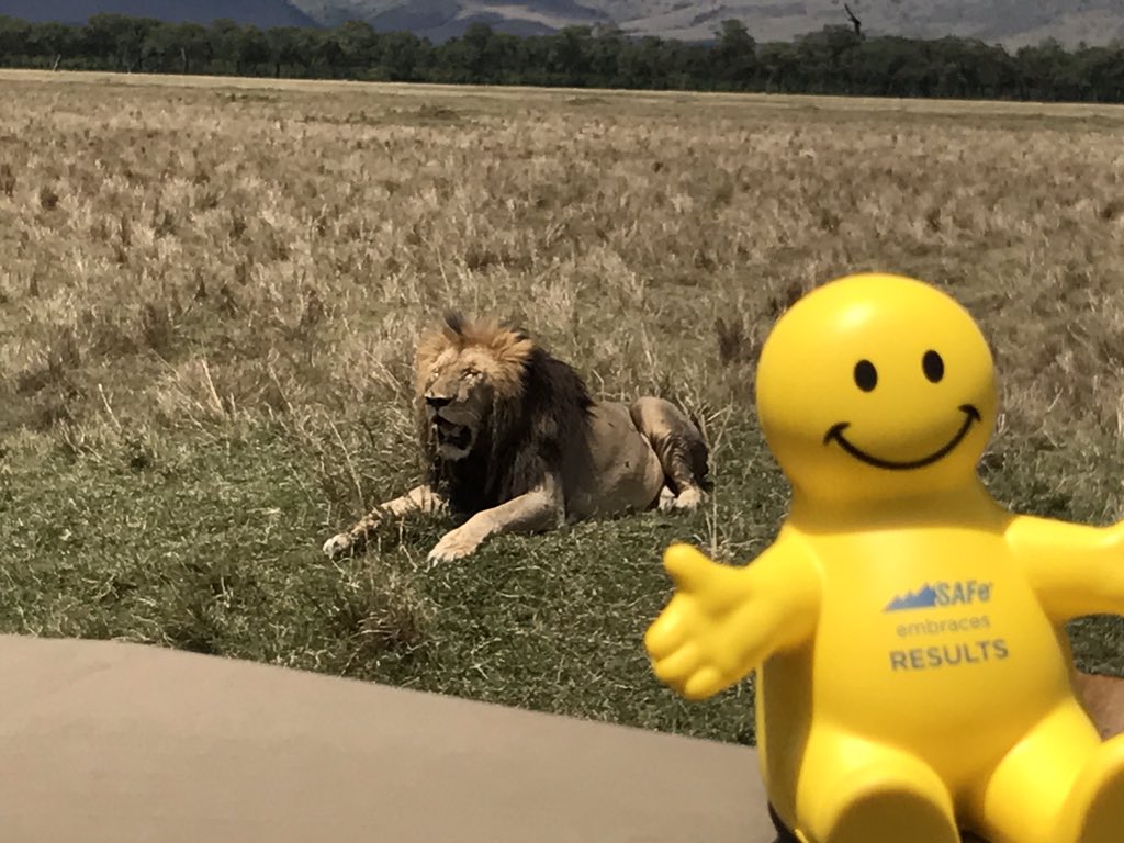 ART hanging with Mr Lion in Maasai Mara, Kenya #WhereisART #ARTisonSafari <a href="/scaledagile/">Scaled Agile</a>