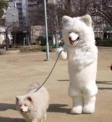 散歩の時飼っている犬と服装を合わせる人はオシャレでいい！けど最後おかしくない？ｗｗｗ