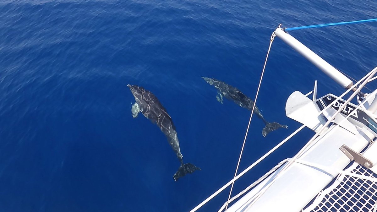 All About Greece tweet media