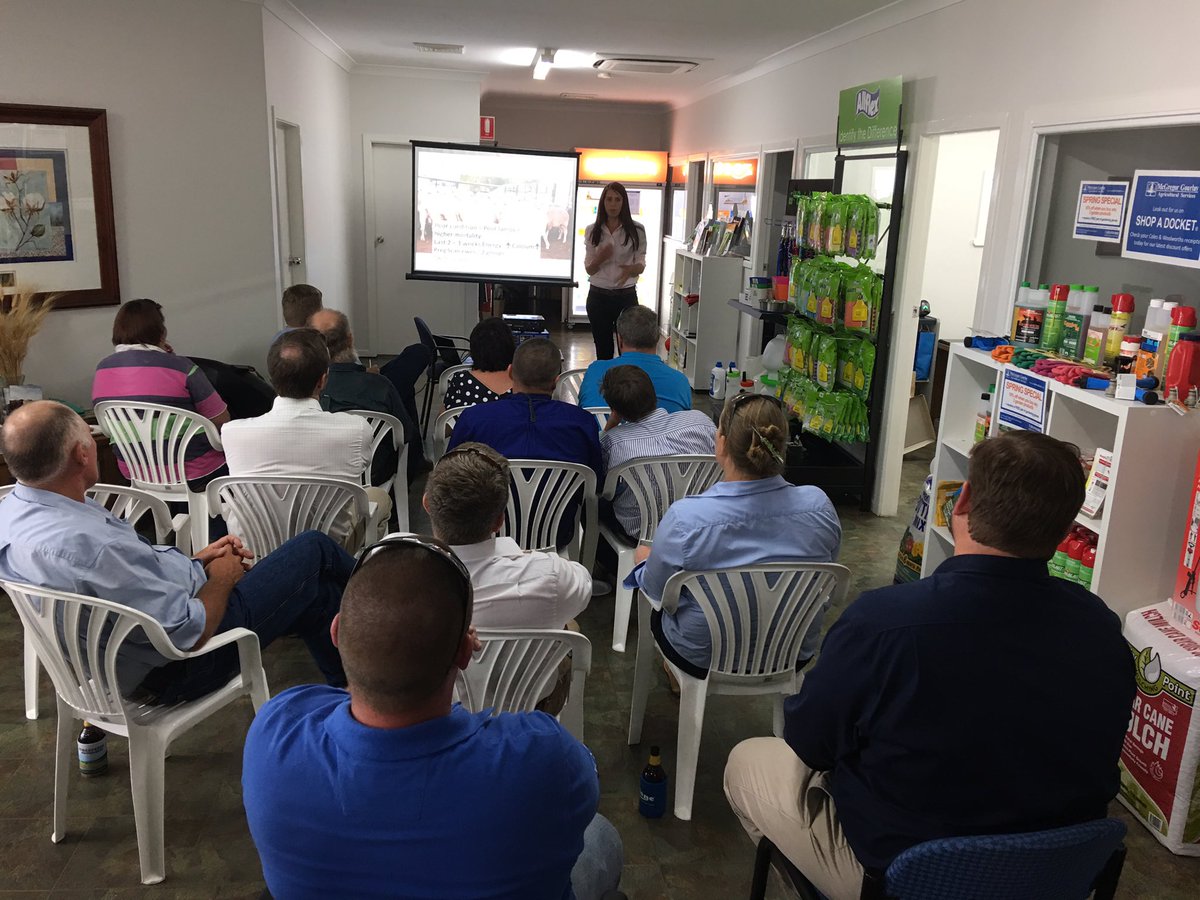 mcgregorgourlay's tweet photo. A great turnout for Moree, learning everything livestock. Thanks to our speakers Allflex, Riverina, Zoetis, Cyclone &amp; @JAMcGregorLSP https://t.co/HMcEXu7MrX