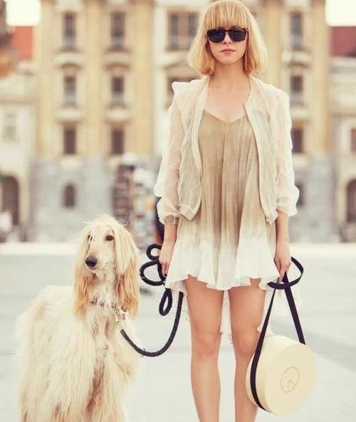 散歩の時飼っている犬と服装を合わせる人はオシャレでいい！けど最後おかしくない？ｗｗｗ