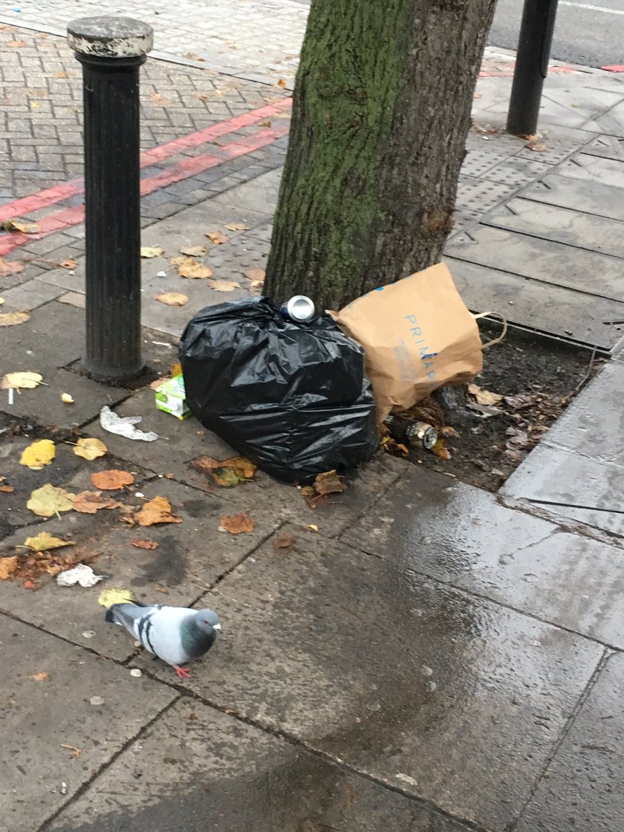 Morning Chin. Doesn't look like moving the bin made a difference 😩 Could you arrange pick up?  <a href="/VeoliaUK/">Veolia | UK</a> <a href="/haringeycouncil/">Haringey Council</a>