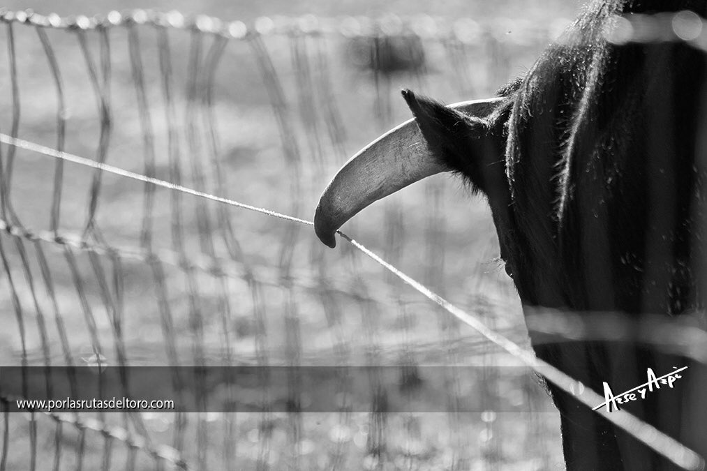 Voltímetro de campo