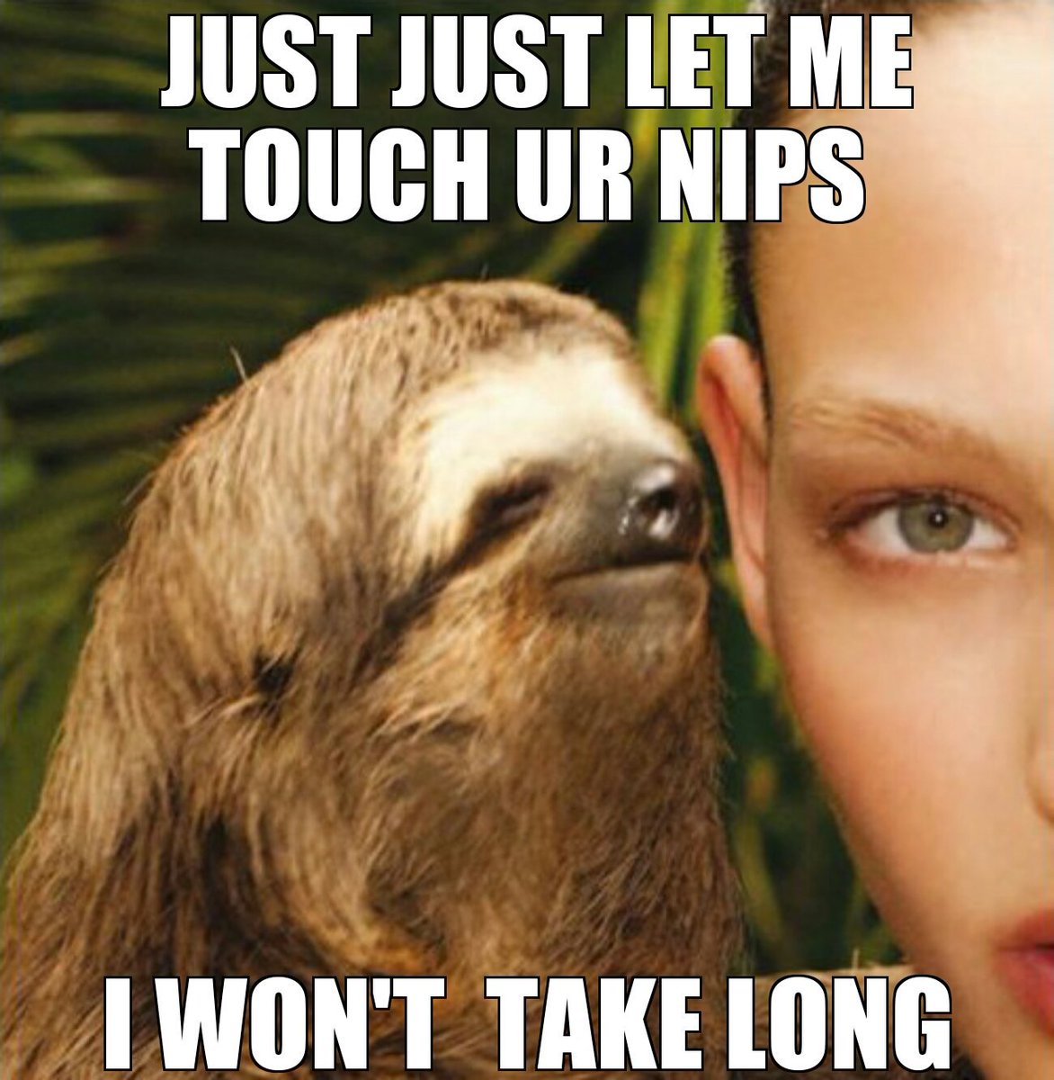 vtrogamer's tweet photo. Shared with Meme Creator: https://t.co/6tDFgnEoC9 https://t.co/LHtTSI5QGu