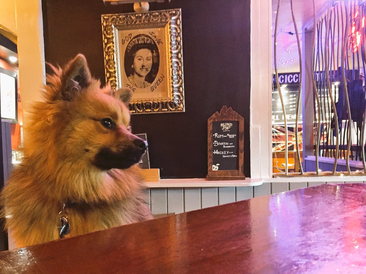 We are a dog friendly pub, stocked with doggie treats and bowls of water to have them bouncing like #bustertheboxer #Brighton