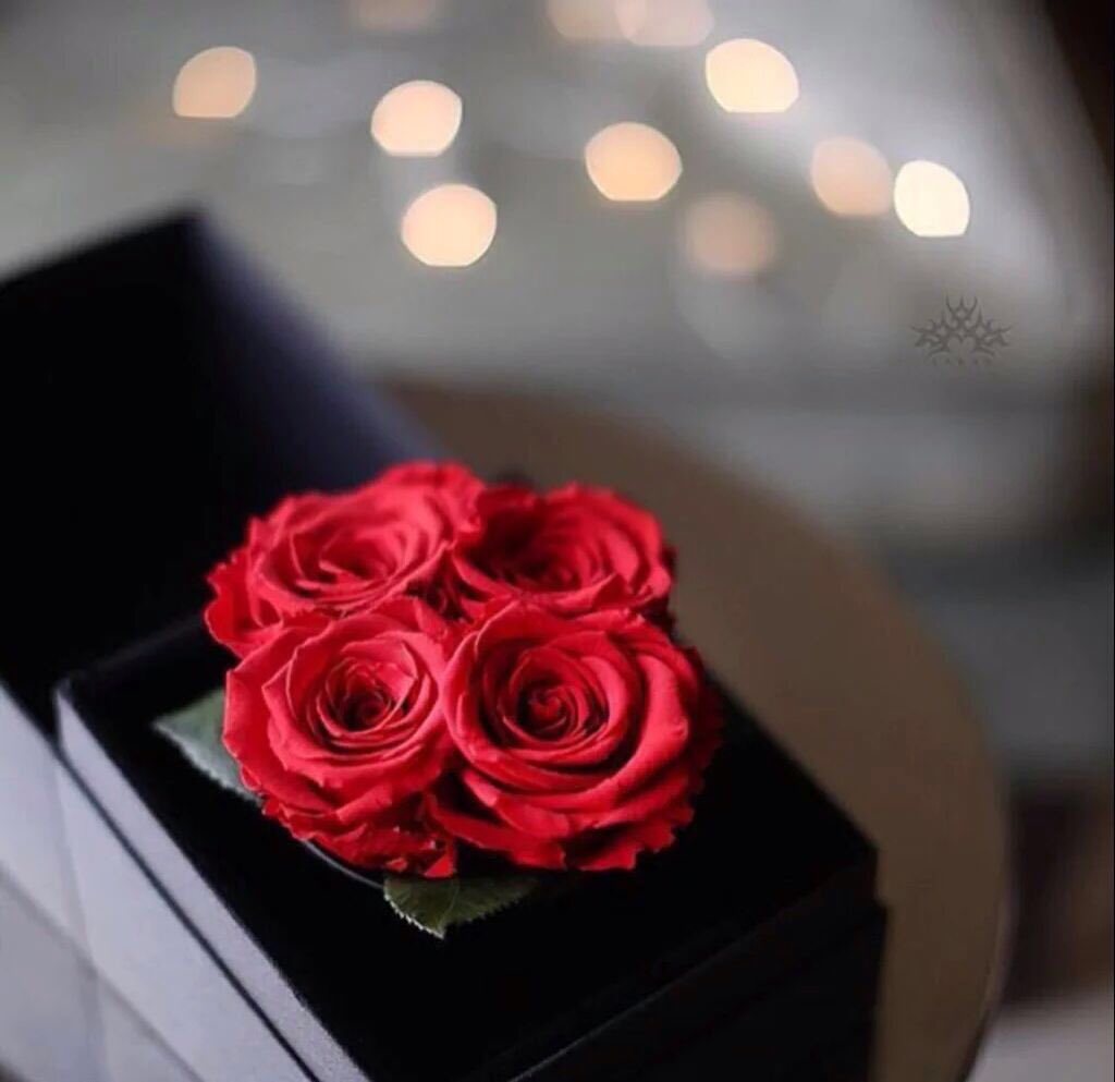 #قحـٍّّـطـَِانـَيـٰه_3k_محب_الف_مبروك_ياأميره.    تستاهلين شاهدين لك لا عليك👏🏻حساب يستحق المتابعه
<a href="/AlqahtaniRabah/">💫زهرة ربيعك💫</a>✈️✈️👍