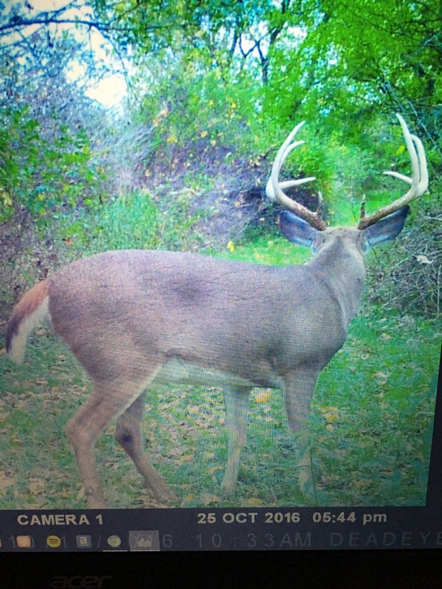 jay13645's tweet image. @Clayunplugged