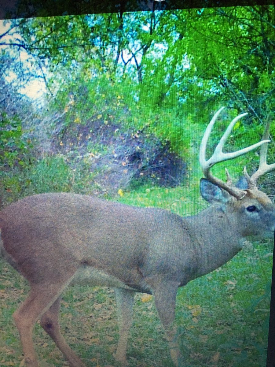 jay13645's tweet image. @Clayunplugged