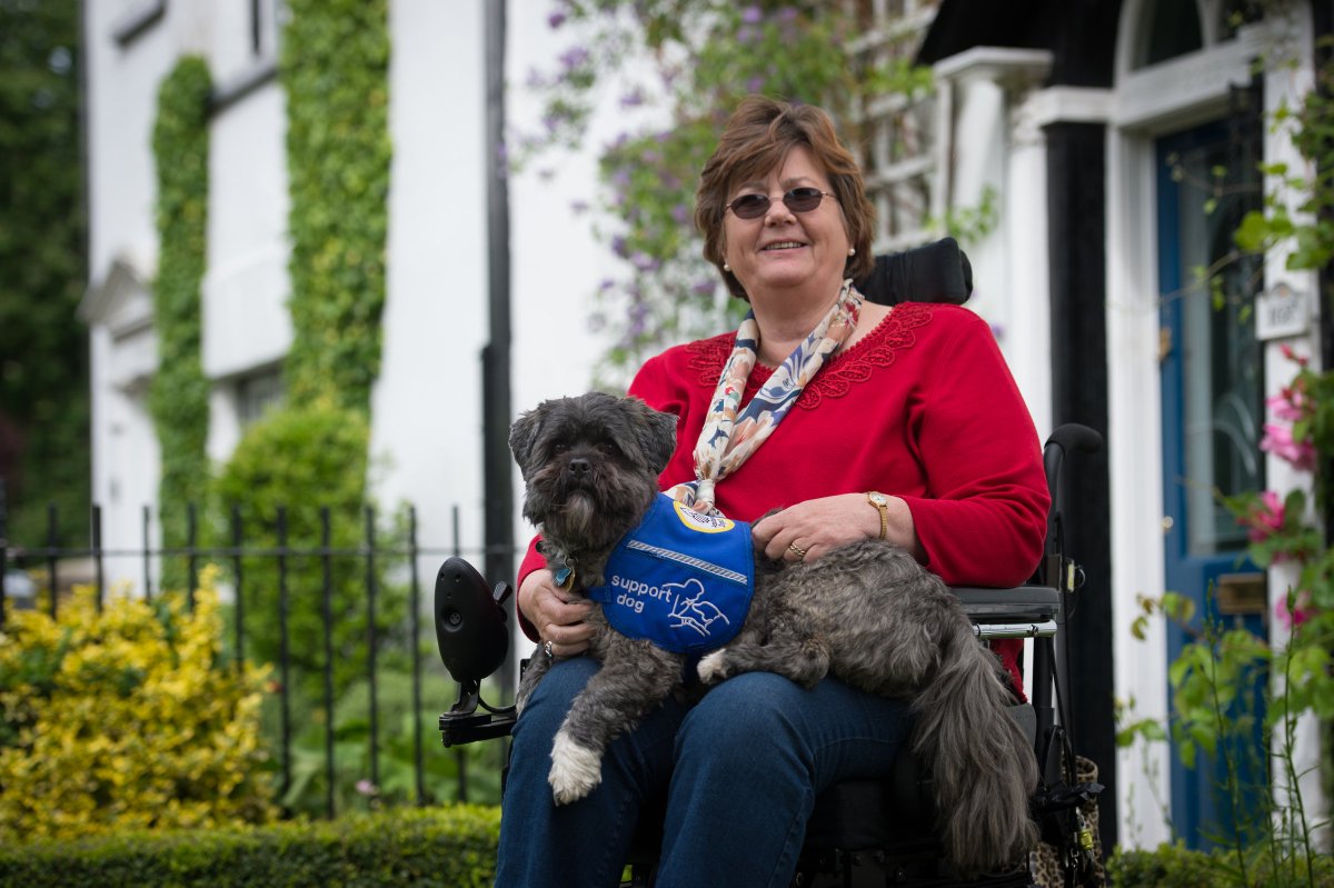 supportdogsuk's tweet image. Thank you @jmmargolis and Alfie for your #firstfiver!