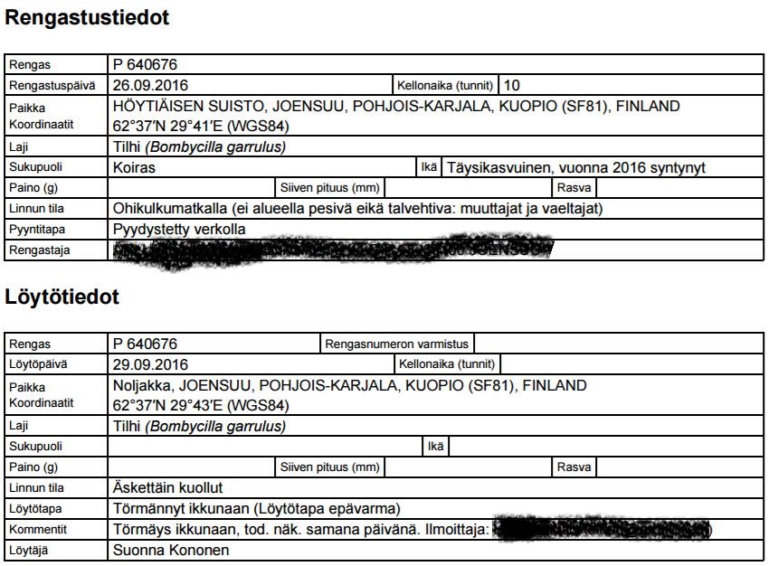 Pieni poika seksiä teini