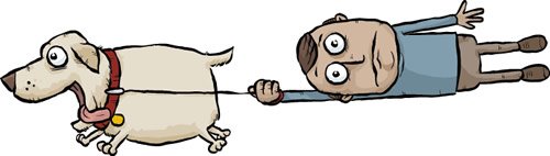 Have you seen our latest news? conta.cc/2fpCRoz