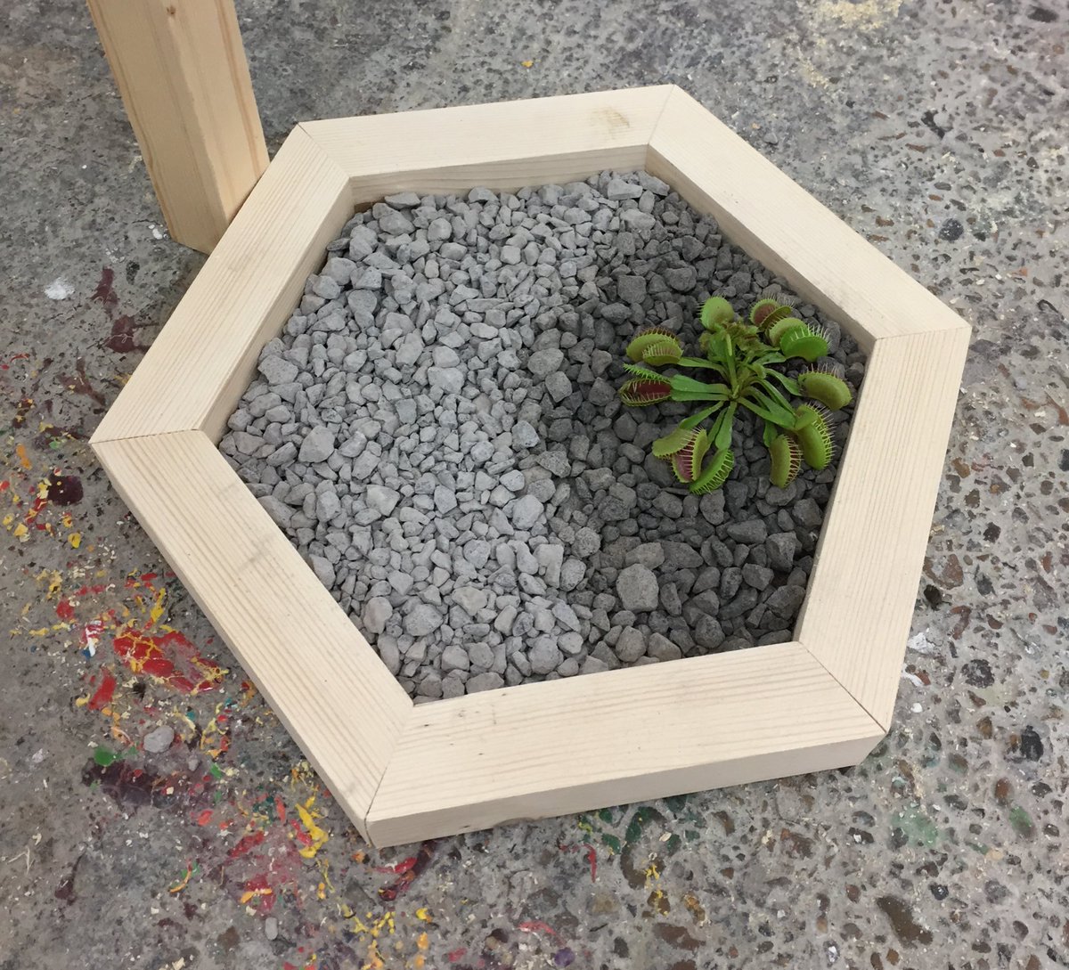 MelissaBurn's tweet photo. Final 🌱 touches #hubrisnemesiscatastrophe https://t.co/utj49hbYKD
