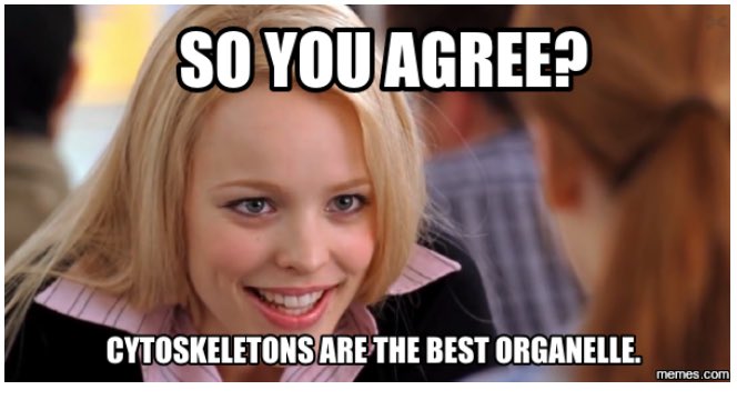 2CytoskElection's tweet photo. https://t.co/AshBXmuUea 

Reasons why we're the best!^^^💅🏻 https://t.co/eYZuq79dp6
