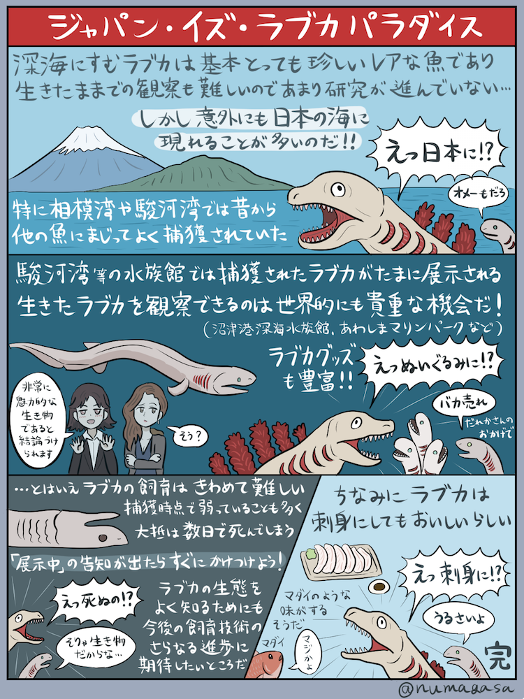 シン ゴジラのモデル深海生物 ラブカ の図解が面白すぎる 蒲田くんがうるさい 笑 食べられるの Togetter