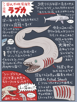 シン ゴジラ 蒲田くん のモチーフとなった深海魚 ラブカ の図解がわかりやすい Togetter